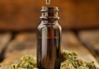 What-Parents-Should-Know-About-Kids-Using-CBD.jpg