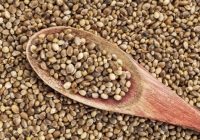 Why-Are-Hemp-Seeds-Good-For-Mental-And-Physical-Health.jpg